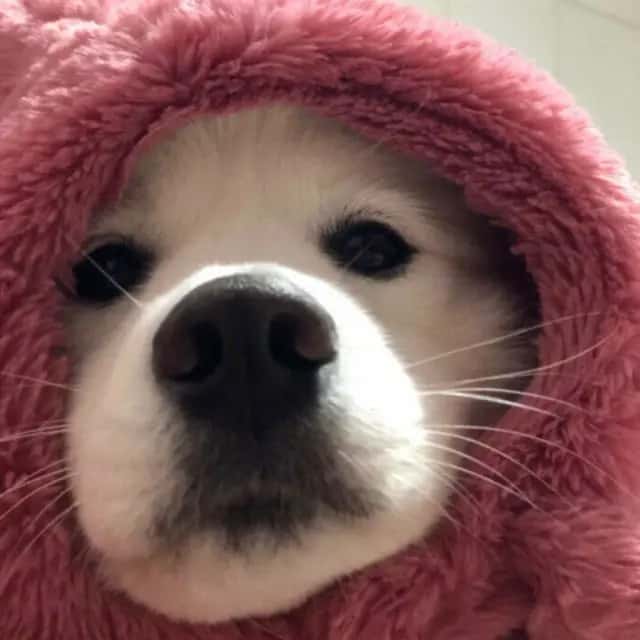 @hover1 - 设计爱好者